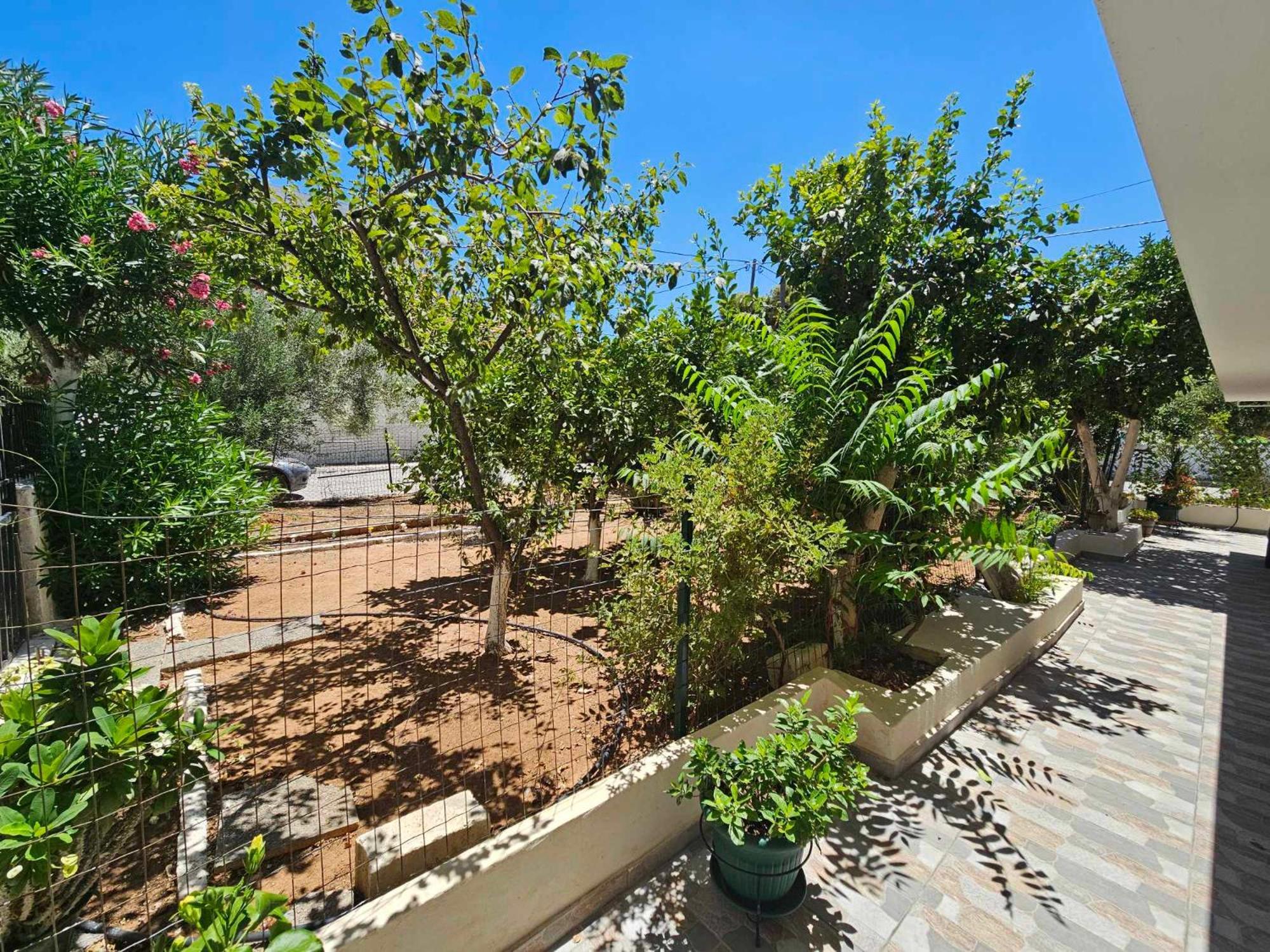 Melograno Apartment Markopoulo Mesogaias ภายนอก รูปภาพ