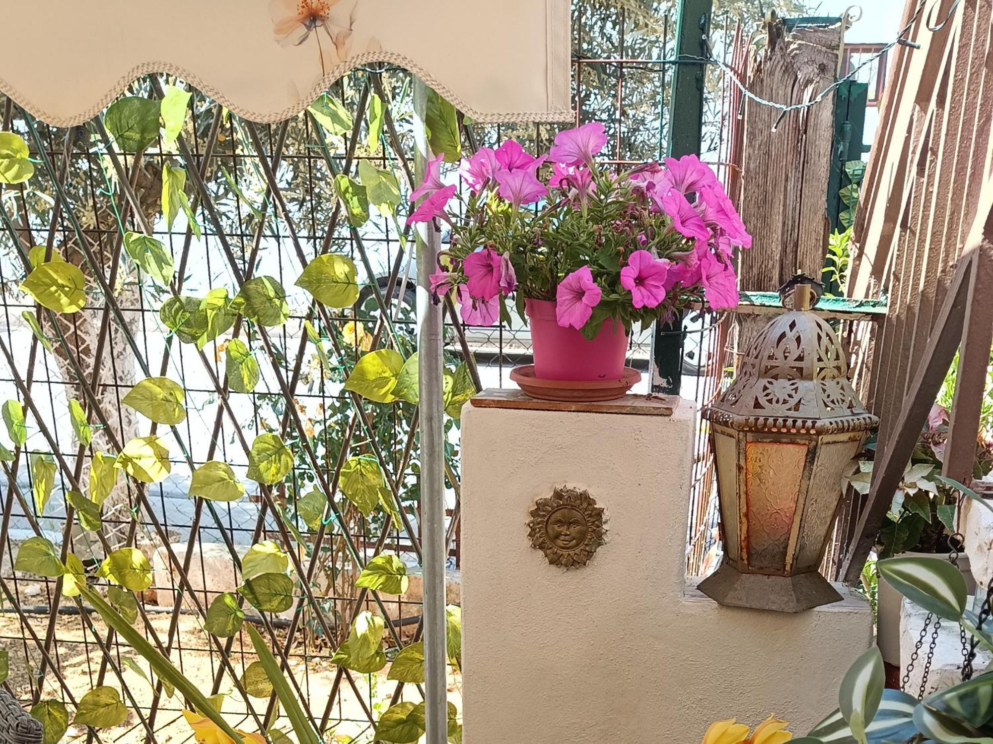 Melograno Apartment Markopoulo Mesogaias ภายนอก รูปภาพ