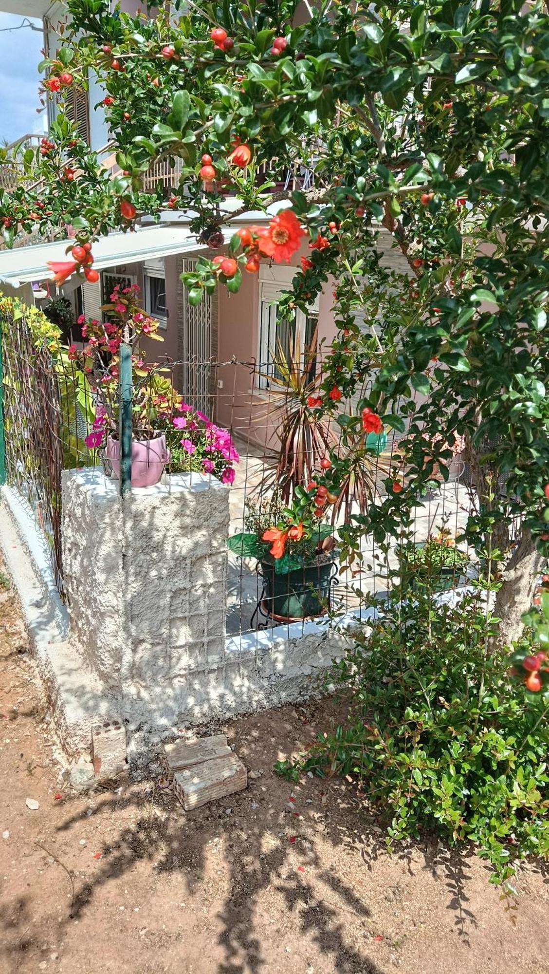 Melograno Apartment Markopoulo Mesogaias ภายนอก รูปภาพ
