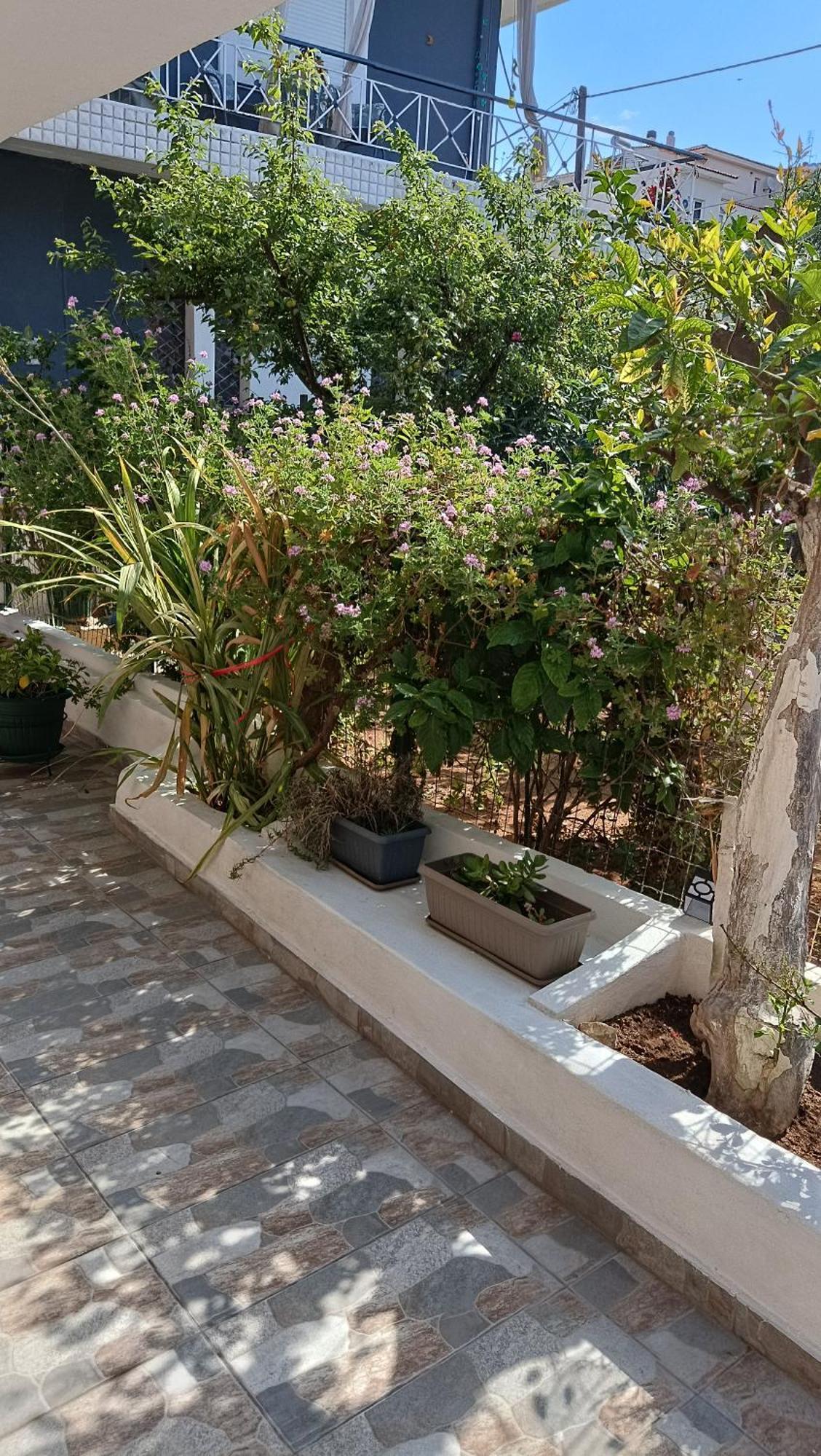 Melograno Apartment Markopoulo Mesogaias ภายนอก รูปภาพ