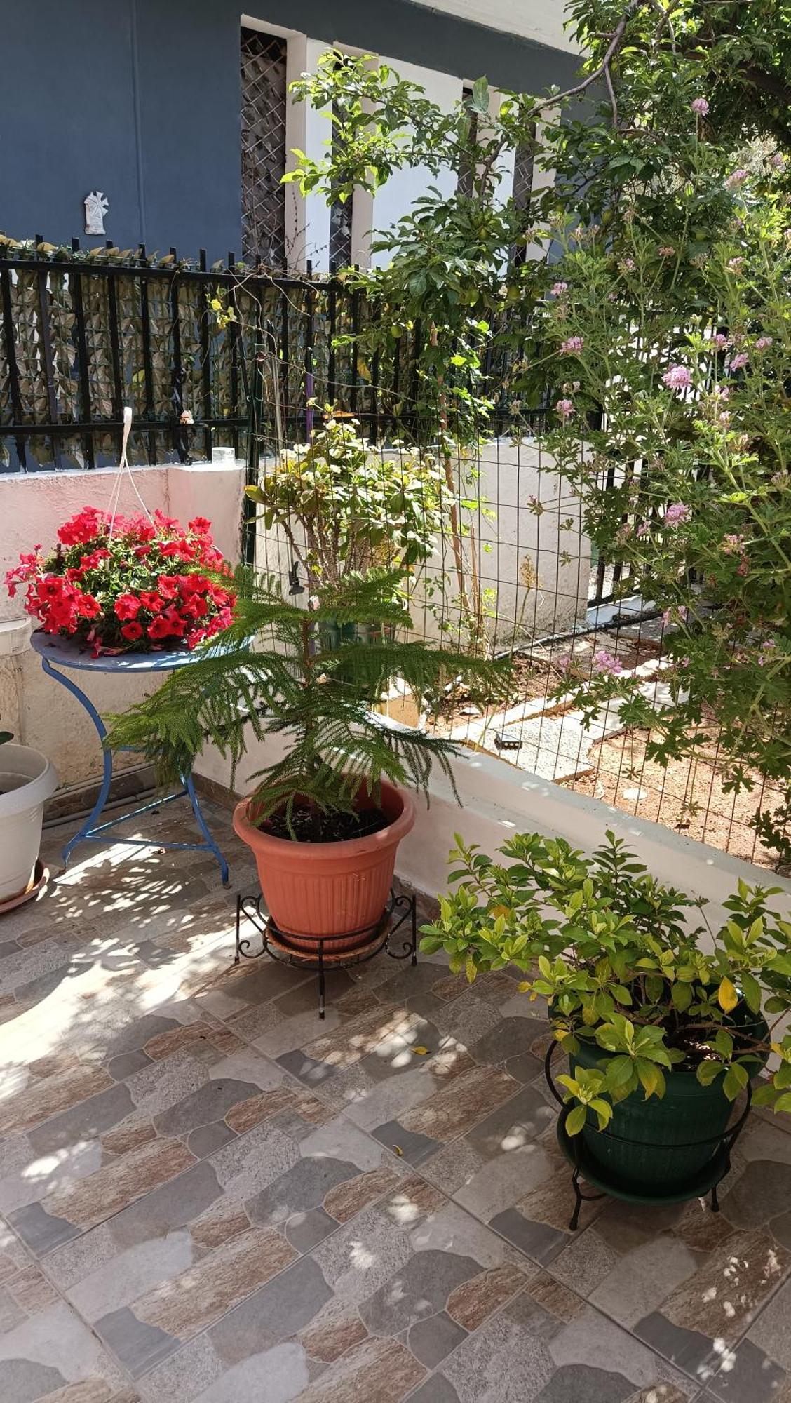 Melograno Apartment Markopoulo Mesogaias ภายนอก รูปภาพ