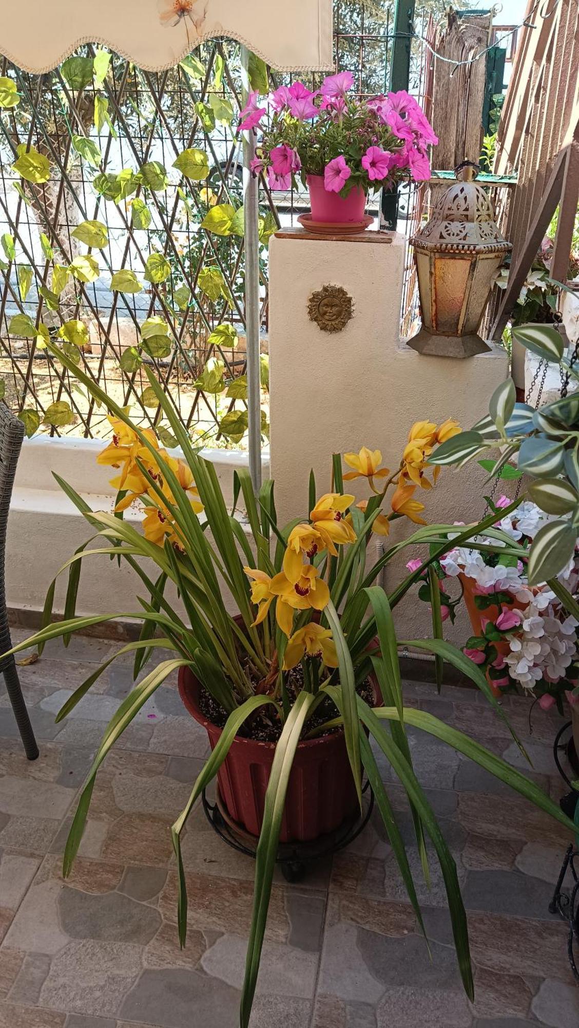 Melograno Apartment Markopoulo Mesogaias ภายนอก รูปภาพ